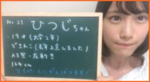 豆柴の大群 カエデは元アイドル 坂道のひつじちゃんだった