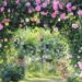 薔薇、庭、アーチ